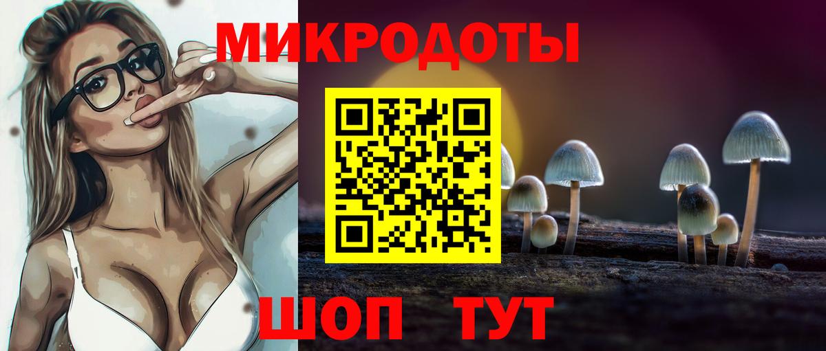 Новосибирск  Псилоцибиновые грибы прущие грибы  Галлюциногенные грибы Psilocybine cubensis  Вход с VPN 